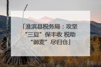 淮滨县税务局：攻坚“三夏”保丰收 税助“弱麦”尽归仓