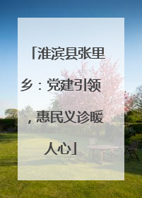 淮滨县张里乡：党建引领，惠民义诊暖人心