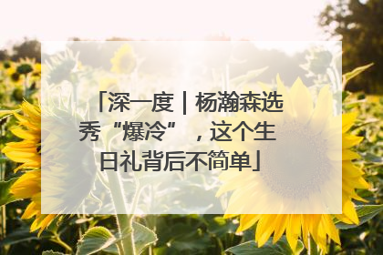 深一度｜杨瀚森选秀“爆冷”，这个生日礼背后不简单