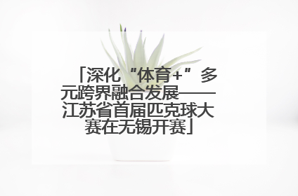 深化“体育+”多元跨界融合发展——江苏省首届匹克球大赛在无锡开赛