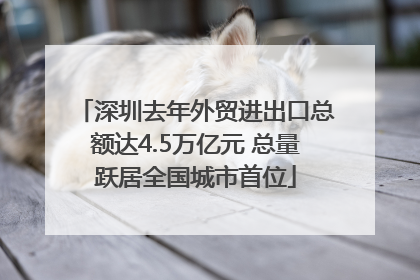 深圳去年外贸进出口总额达4.5万亿元 总量跃居全国城市首位