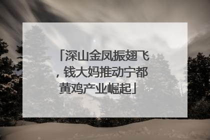 深山金凤振翅飞，钱大妈推动宁都黄鸡产业崛起