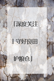 深度关注丨守好良田护粮仓