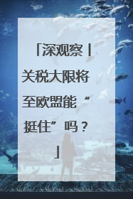 深观察丨关税大限将至欧盟能“挺住”吗？