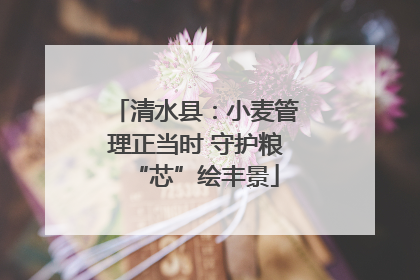 清水县：小麦管理正当时 守护粮“芯”绘丰景