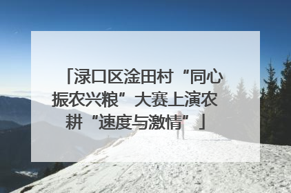 渌口区淦田村“同心振农兴粮”大赛上演农耕“速度与激情”