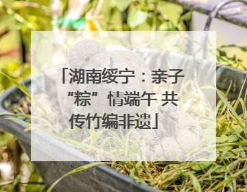 湖南绥宁：亲子“粽”情端午 共传竹编非遗