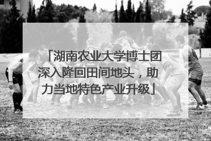 湖南农业大学博士团深入隆回田间地头，助力当地特色产业升级
