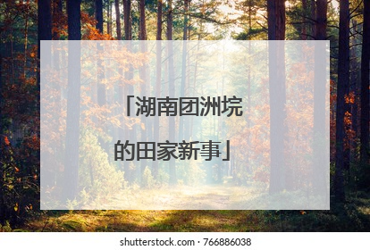 湖南团洲垸的田家新事