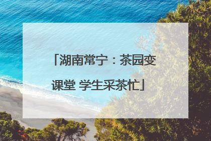 湖南常宁：茶园变课堂 学生采茶忙