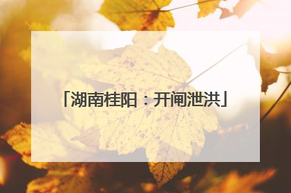 湖南桂阳：开闸泄洪