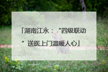 湖南江永：“四级联动”送医上门温暖人心