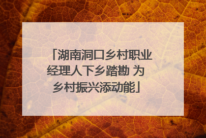 湖南洞口乡村职业经理人下乡踏勘 为乡村振兴添动能