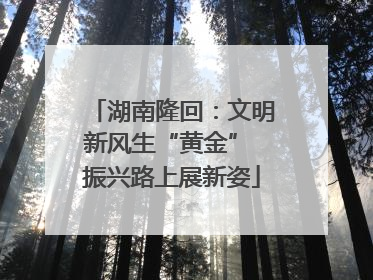 湖南隆回：文明新风生“黄金” 振兴路上展新姿