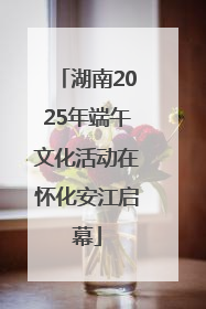 湖南2025年端午文化活动在怀化安江启幕