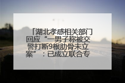 湖北孝感相关部门回应“一男子称被交警打断9根肋骨未立案”：已成立联合专班开展工作