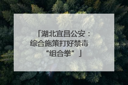 湖北宜昌公安：综合施策打好禁毒“组合拳”