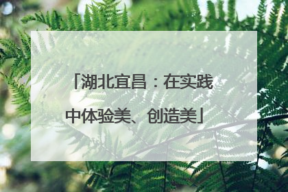 湖北宜昌：在实践中体验美、创造美