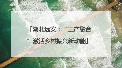 湖北远安：“三产融合”激活乡村振兴新动能