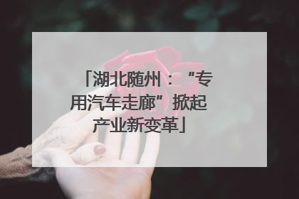 湖北随州：“专用汽车走廊”掀起产业新变革