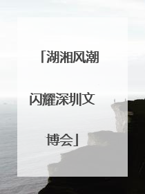 湖湘风潮闪耀深圳文博会