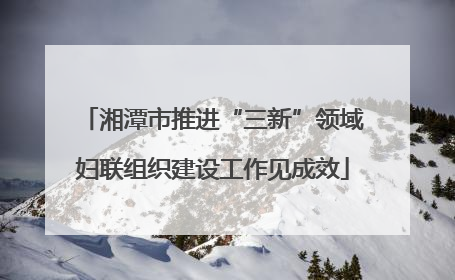湘潭市推进“三新”领域妇联组织建设工作见成效