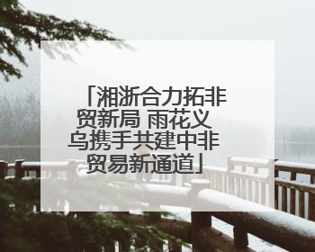 湘浙合力拓非贸新局 雨花义乌携手共建中非贸易新通道