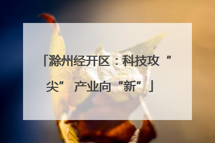 滁州经开区：科技攻“尖” 产业向“新”