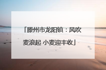 滕州市龙阳镇：风吹麦浪起 小麦迎丰收