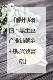 滕州龙阳镇：黑土豆产业铺就乡村振兴致富路