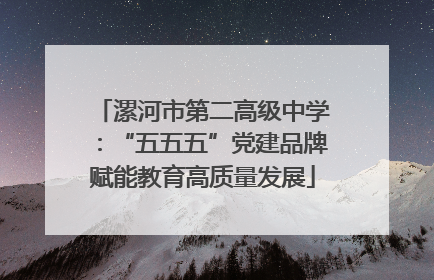 漯河市第二高级中学：“五五五”党建品牌赋能教育高质量发展
