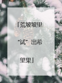 荒坡坡里“试”出希望果