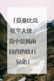 莫桑比克驻华大使：莫中是风雨同舟的铁杆兄弟