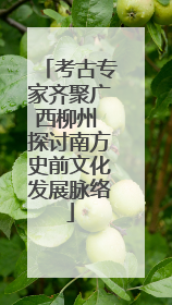 考古专家齐聚广西柳州 探讨南方史前文化发展脉络