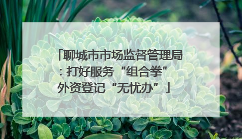聊城市市场监督管理局：打好服务“组合拳” 外资登记“无忧办”