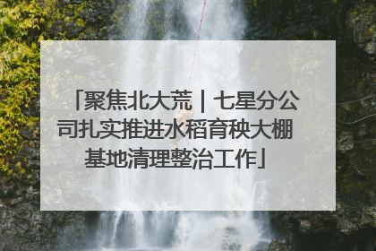 聚焦北大荒｜七星分公司扎实推进水稻育秧大棚基地清理整治工作