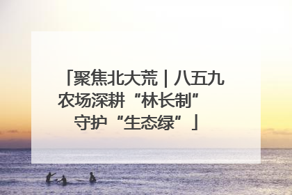 聚焦北大荒｜八五九农场深耕“林长制” 守护“生态绿”