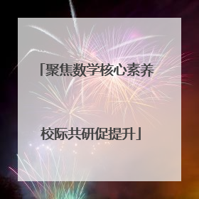 聚焦数学核心素养 校际共研促提升