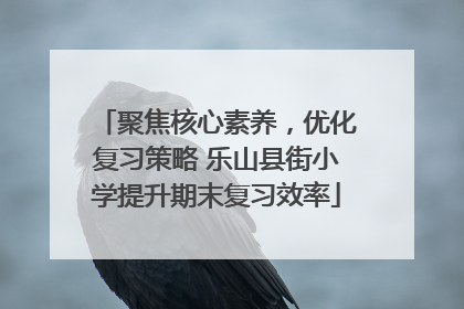 聚焦核心素养，优化复习策略 乐山县街小学提升期末复习效率