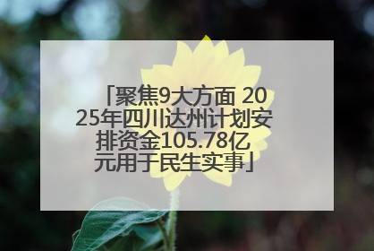 聚焦9大方面 2025年四川达州计划安排资金105.78亿元用于民生实事