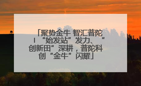 聚势金牛 智汇普陀〡“始发站”发力、“创新田”深耕，普陀科创“金牛”闪耀