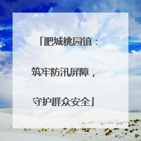 肥城桃园镇：筑牢防汛屏障，守护群众安全