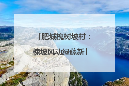 肥城槐树坡村：槐坡风动绿藤新