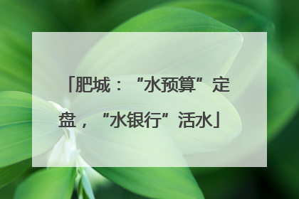 肥城：“水预算”定盘，“水银行”活水
