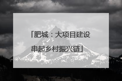 肥城：大项目建设串起乡村振兴链