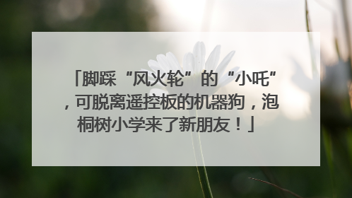 脚踩“风火轮”的“小吒”，可脱离遥控板的机器狗，泡桐树小学来了新朋友！