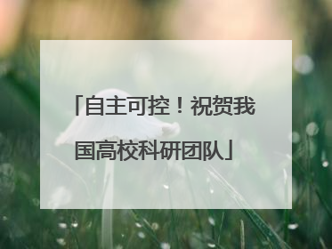 自主可控！祝贺我国高校科研团队