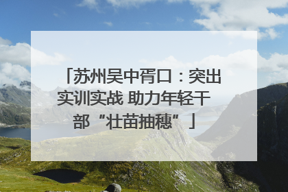苏州吴中胥口：突出实训实战 助力年轻干部“壮苗抽穗”