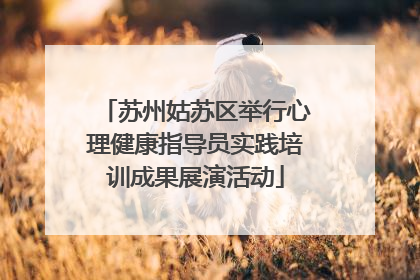 苏州姑苏区举行心理健康指导员实践培训成果展演活动