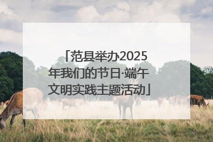 范县举办2025年我们的节日·端午文明实践主题活动